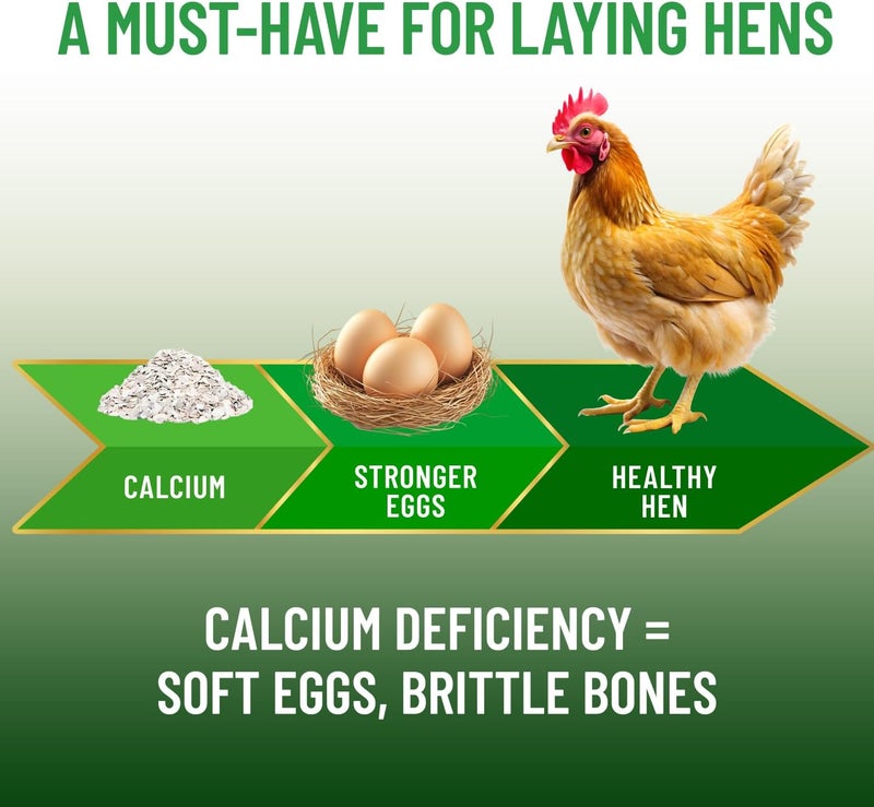 Small Pet Select - 100% Flaked Oyster Shell, Calcium Supplement for Chickens, and Ducks, 5lb - Image 5